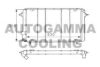 AUTOGAMMA 100878 Radiator, engine cooling